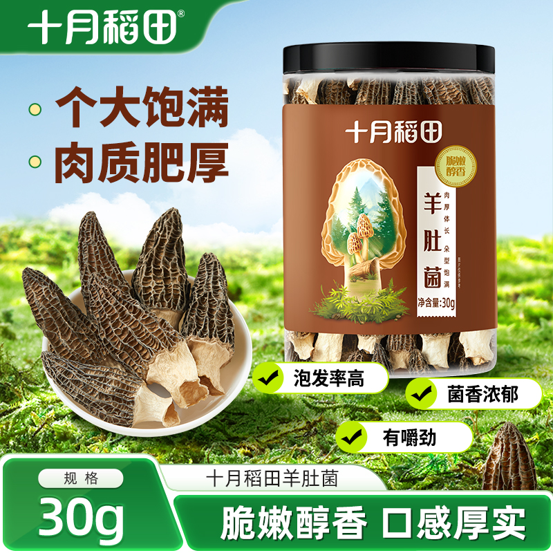 十月稻田羊肚菌30g肉质肥厚