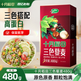 十月稻田三色藜麦米480g白红黑藜麦混合杂粮粥均衡配比粗粮