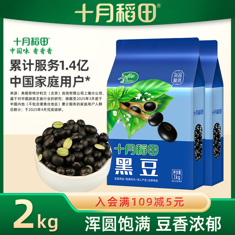 十月稻田东北绿心黑豆