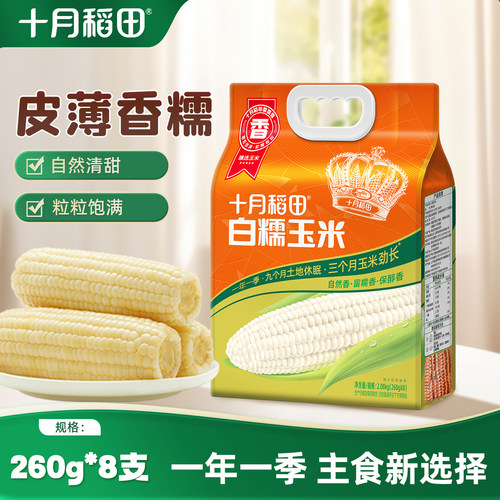 十月稻田白糯玉米大棒