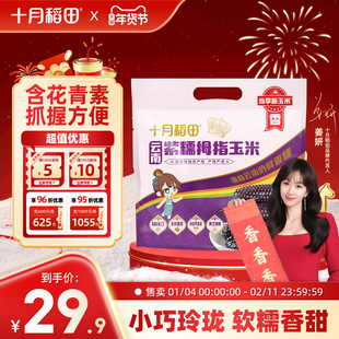 十月稻田紫糯拇指玉米500g非转基因云南真空新鲜玉米手指玉米