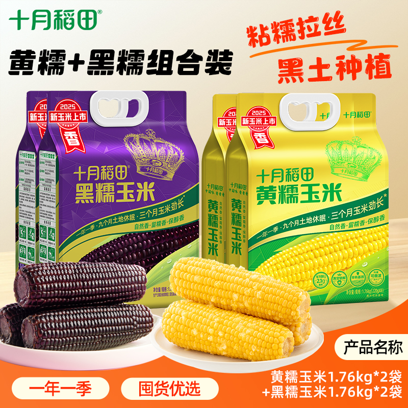 25年新玉米十月稻田黄糯黑糯玉米