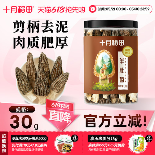 2025年新货十月稻田羊肚菌