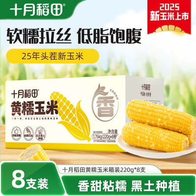 十月稻田黄糯玉米箱装