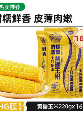 十月稻田黄糯玉米东北玉米香糯甜拉丝新鲜苞谷220gX16官方真空