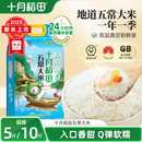 2025新米十月稻田五常大米5kg 2.5kg优质一等东北大米香粳米官方