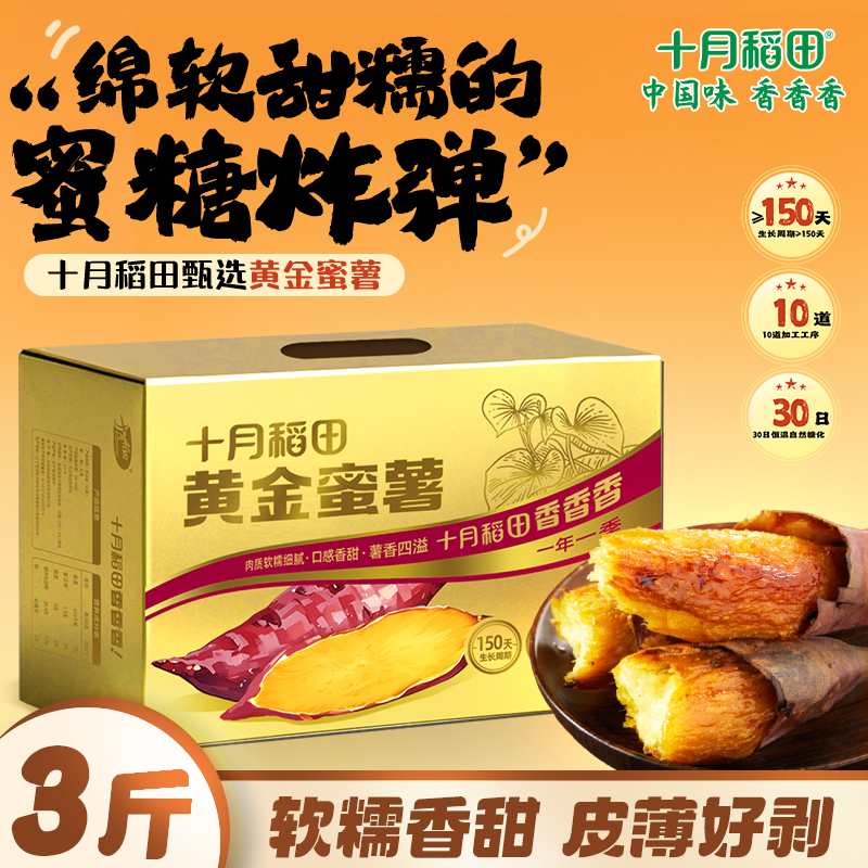 十月稻田黄金蜜薯3斤地瓜