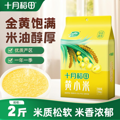 十月稻田黄小米1kg米香浓郁
