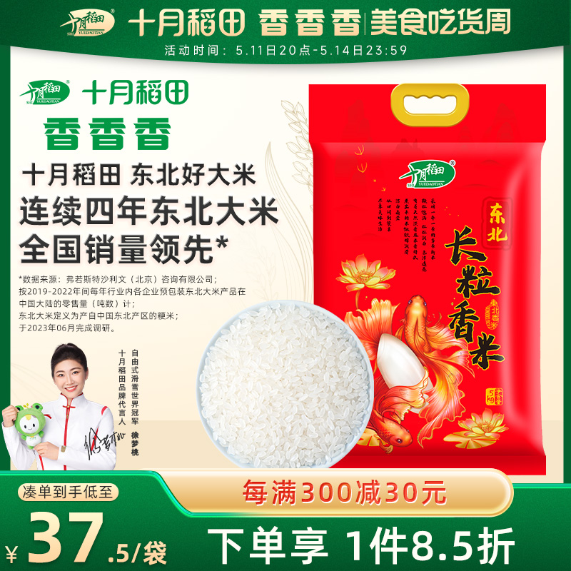 十月稻田辽河长粒香大米5kg东北粳米10斤劲道有嚼劲一年一季真空 粮油调味/速食/干货/烘焙 大米 原图主图
