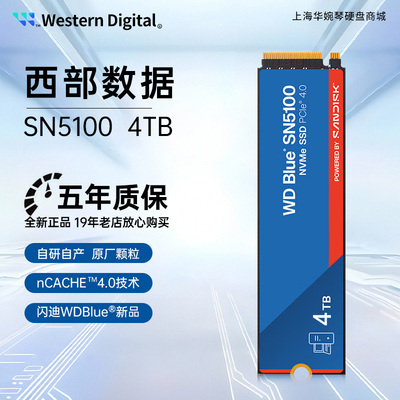 闪迪（SanDisk）SN5100 SSD固态硬盘4TB台式机笔记本游戏硬盘