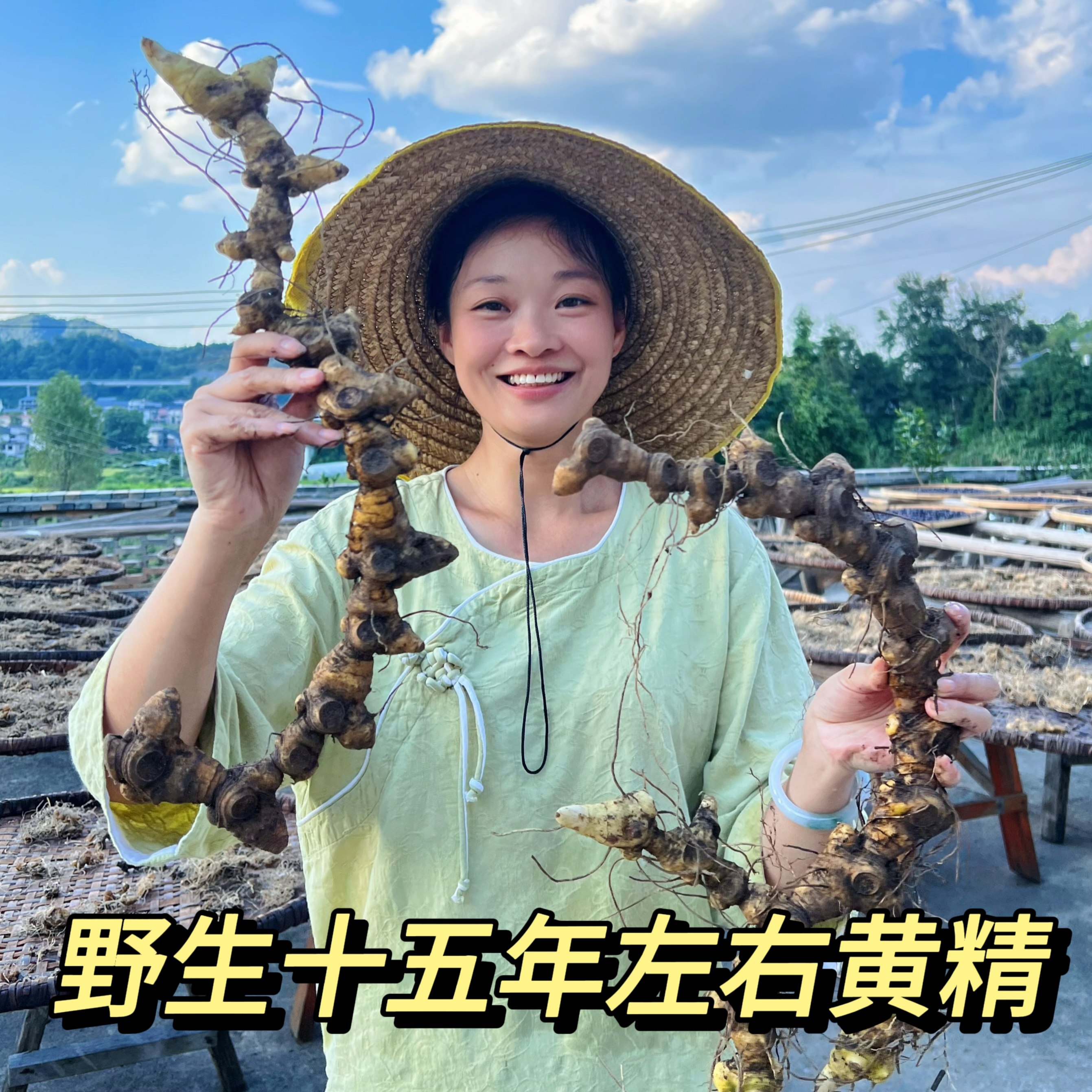 九蒸九晒黄精十五年野生黄精古法纯手工滋补黄精茶 即食泡水500克