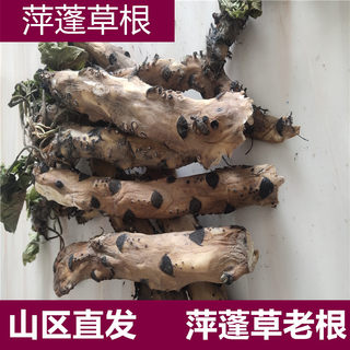 中药材萍蓬草根圆叶萍荇菜浮萍根水浮莲黄金莲根多年老根包邮