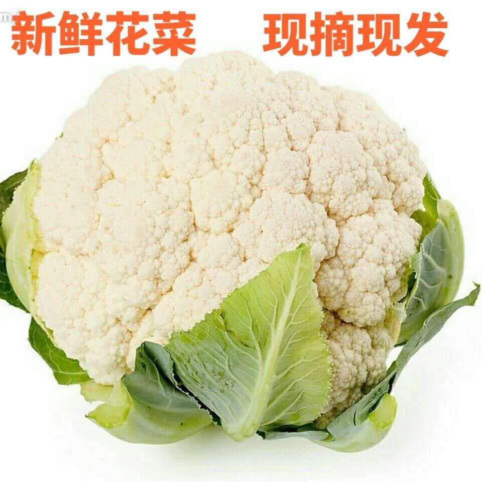 有机菜花蔬菜新鲜价格 有机菜花蔬菜新鲜图片 星期三 有机菜花蔬菜新鲜价格 有机菜花蔬菜新鲜图片 星期三