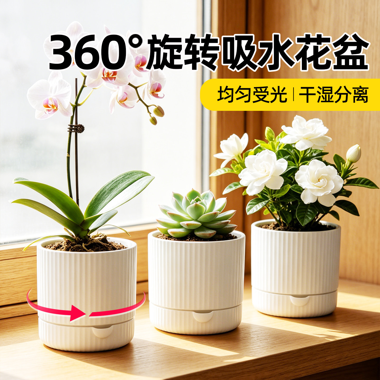 懒人必备360°旋转自动吸水花盆兰花多肉绿萝发财树专用透气水培