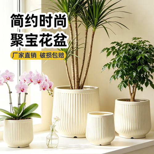 禾家加厚塑料绿植大花盆
