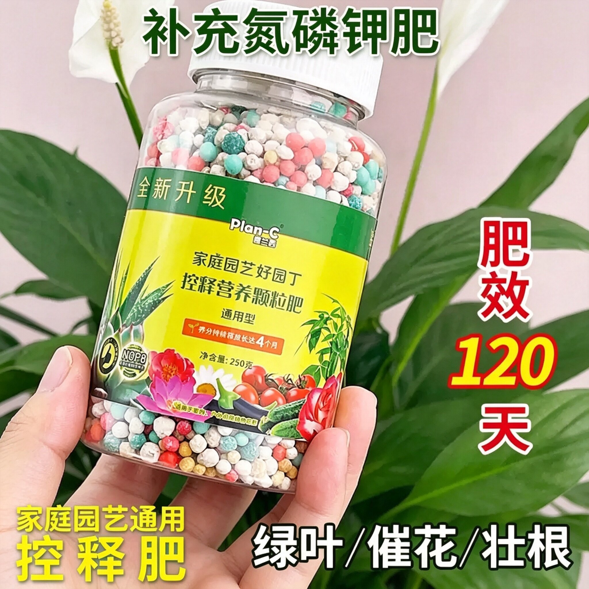 绿植花肥料复合盆栽植物绿萝多肉种蔬菜发财树专用通用型氮磷钾肥
