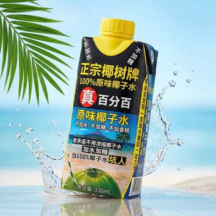 正宗椰树牌椰子水 椰树椰子汁 新鲜椰子肉鲜榨 椰奶椰子汁椰子水