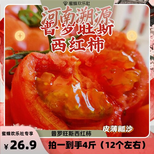 【河南溯源专场】山东草莓芯西红柿自然熟蔬菜水果番茄