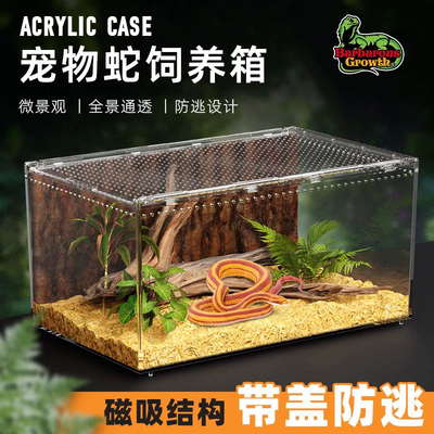 亚克力成体宠物蛇全景饲养箱养小蛇专用雨林造景生态缸爬虫饲养盒