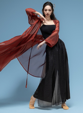 古典舞演出服身韵飘逸纱衣套装舞蹈服中国舞演出服民族基训练功服