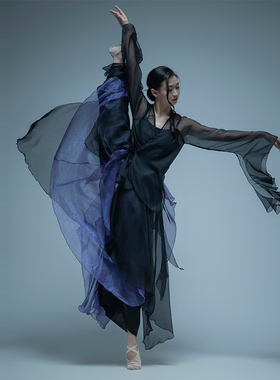 新款古典舞蹈服女飘逸仙气身韵纱衣练功服裙裤侠风上衣演出服古风