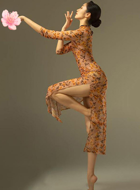 古典舞演出服高弹力花色显腰瘦旗袍复古国风舞蹈服艺考比赛练功服