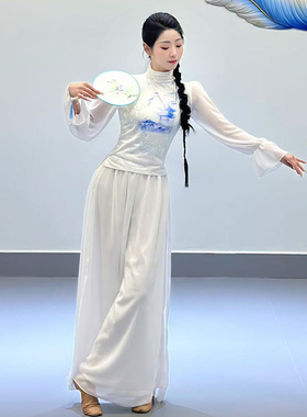古典舞演出服成人中国舞练功服飘逸金晨同款纱衣青花瓷舞台表演服