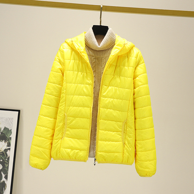 轻薄羽绒棉衣女新款秋冬装
