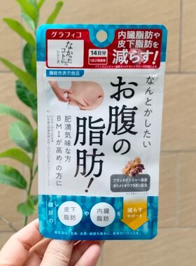 日本代购 graphico内脂丸 腹部脂肪丸减去内脏皮下脂肪 28粒