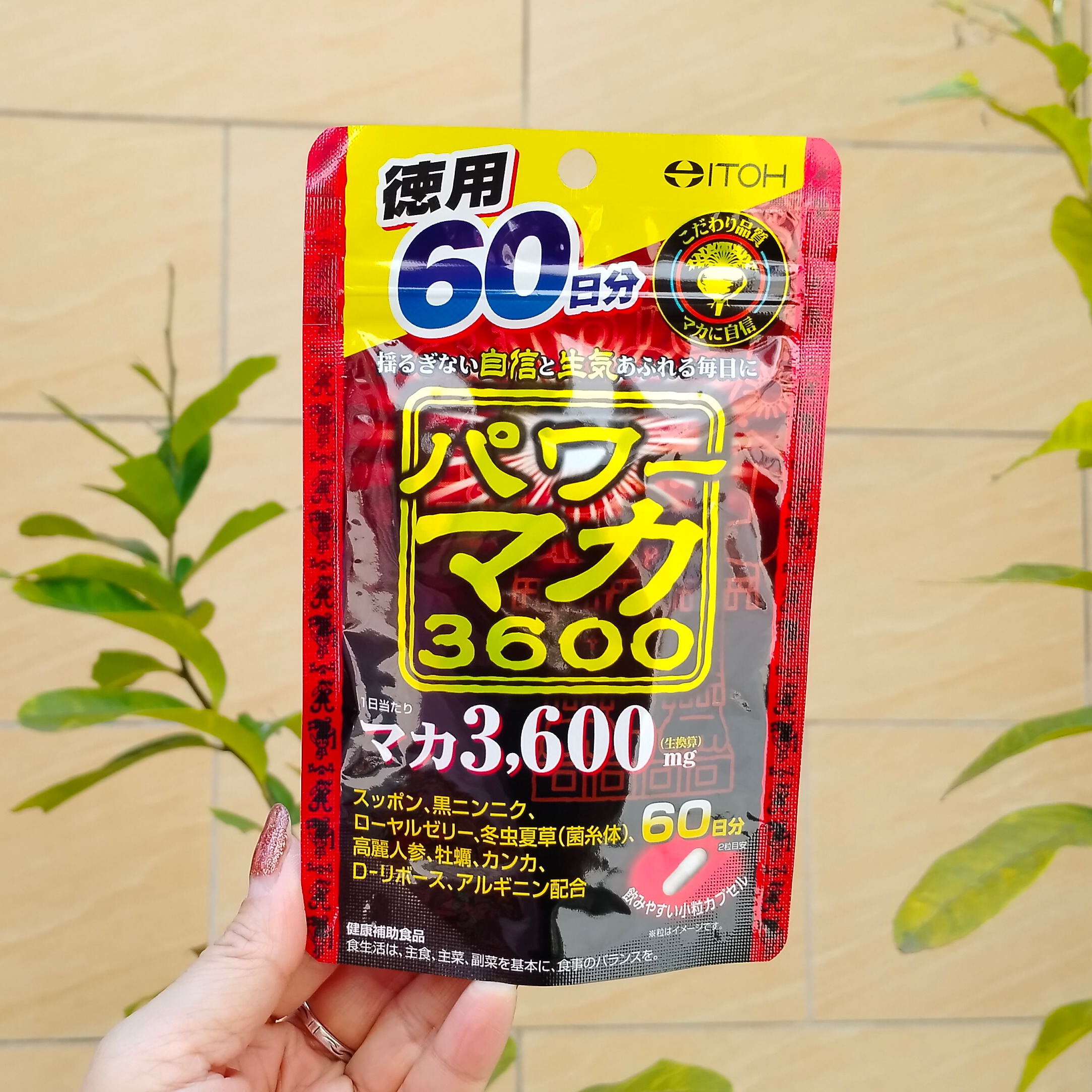 现货日本代购井藤汉方新品玛卡