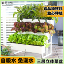 阳台种菜盆种菜专用箱室内种菜架户外菜架草莓花盆顶楼蔬菜种植箱