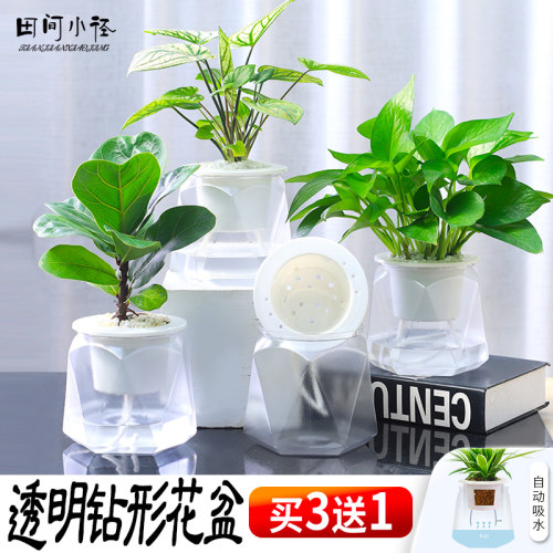 塑料创意免浇水懒人花盆