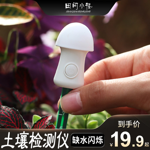 智能园艺工具植物缺水提醒仪懒人土壤湿度检测仪绿植水分检测