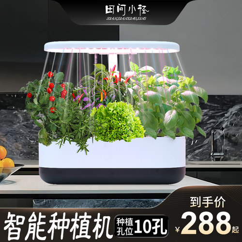 水培植物箱价格 水培植物箱图片 星期三