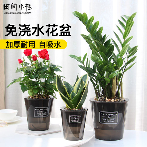 塑料花盆加厚免浇水绿萝盆