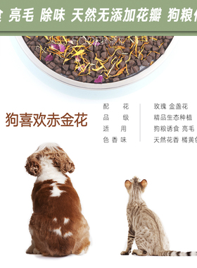 天然生态狗喜欢赤金花100g干花瓣 狗粮猫粮伴侣诱食干花