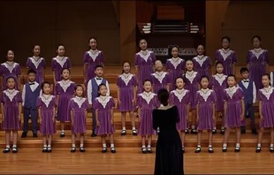 儿童合唱服/小学生演出服/初中生/中学生/诗歌朗诵表演/大合唱团