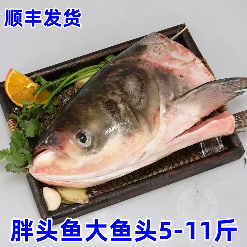 花鲢鱼现切鱼头4-11斤整个大鱼头