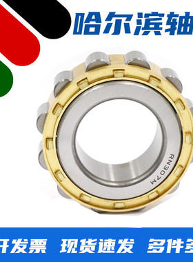 哈尔滨减速机偏心轴承RN05 206 219 222 307 308RN309 312 M 天马