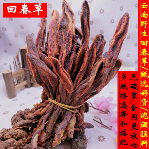 云南回春草 野生不老草500克男滋补煲汤料泡酒泡茶顶天柱可搭锁阳