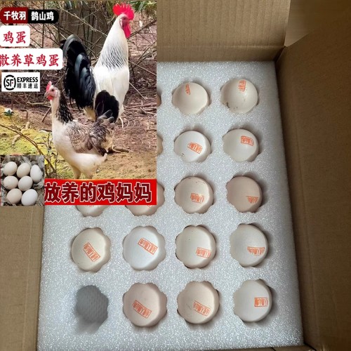 正宗鹊山鸡蛋现捡现发顺丰包邮新鲜精品鸡蛋自然散养产地邵阳直发