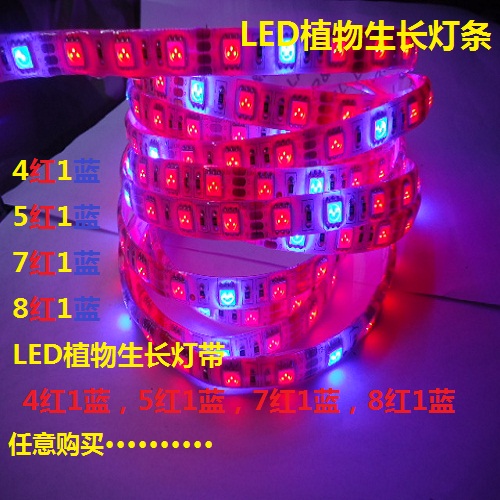 植物灯高亮防水LED软灯带505012V