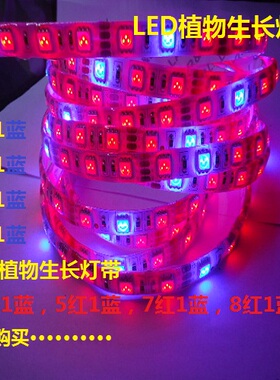 LED植物生长灯带 DC12V5050高亮红蓝4:1 5:1防水植物生长补光灯条