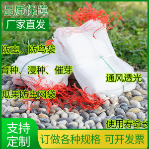 尼龙防虫水稻育种网袋火龙果葡萄瓜果番茄蔬菜套袋 浸种催芽纱袋
