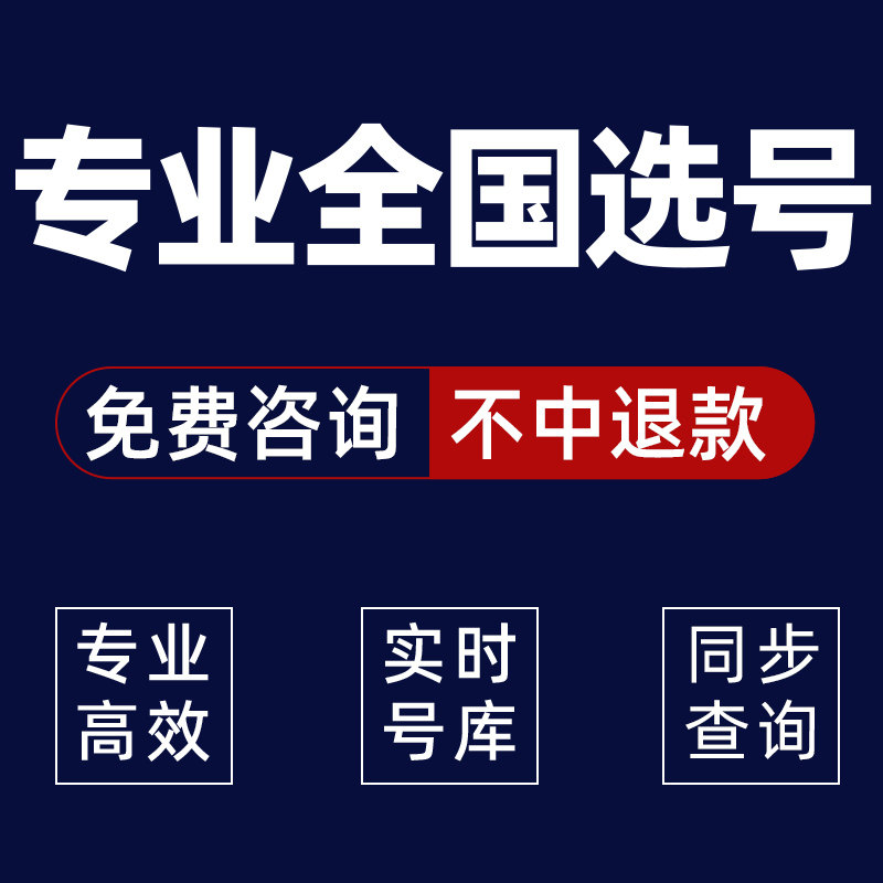 全国车牌选号北京广州深圳上海12123新能源汽车靓号新车自编车牌