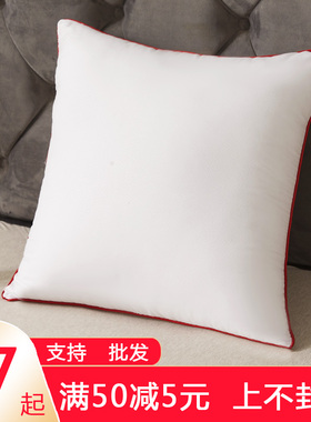 抱枕芯内胆内芯靠垫芯40 45 50 60正方形抱枕心沙发靠背靠枕芯子