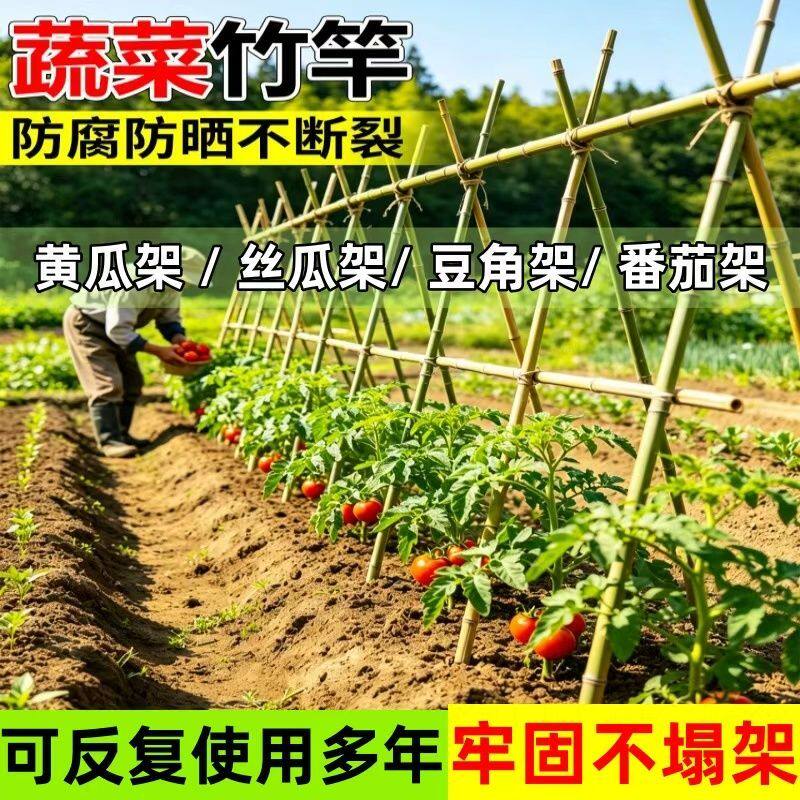 竹竿 100根200根竹竿菜园搭架细竹竿子搭架杆豆角黄瓜架子