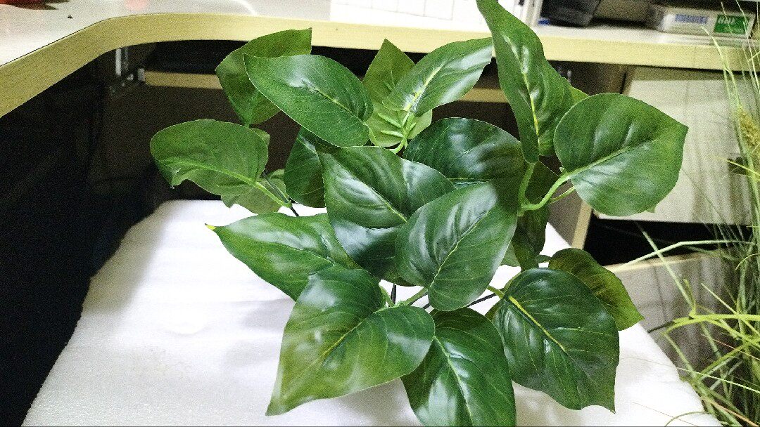 假叶子仿真绿植植物墙紫苏苹果叶香芋绿萝