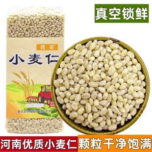 小麦仁河南西苗优质真空装小麦去皮脱壳带胚芽谷物煮粥饭麦仁酵子