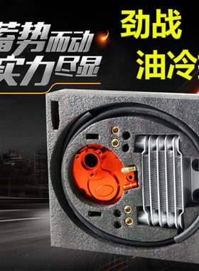 TWPO劲战油冷福喜酷奇鬼火BWS改装铝合金油冷器/油冷排散热器套件
